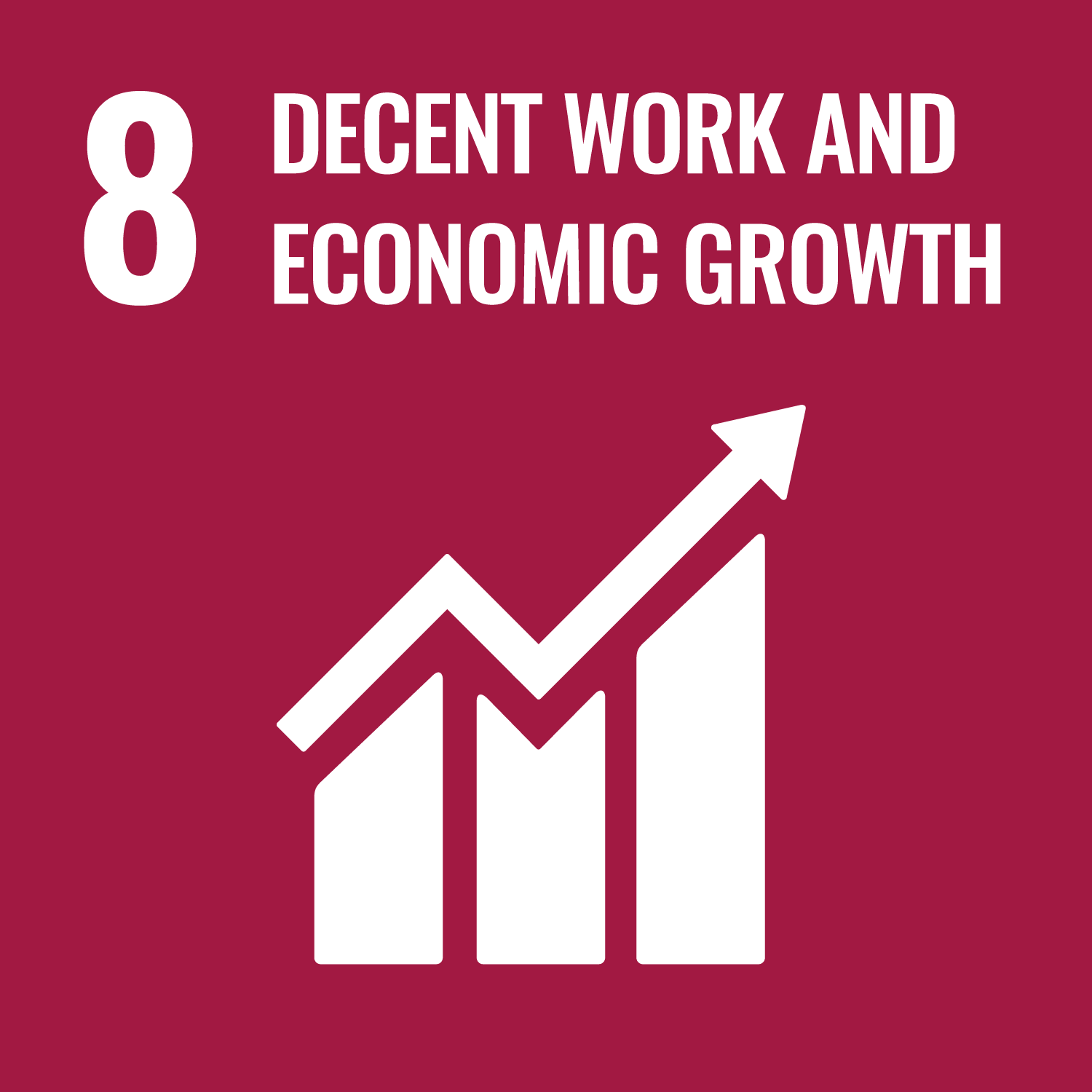 8 DECENT WORK AND ECONOMIC GROWTH